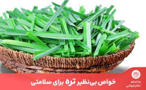 مهمترین خواص تره به دلیل اثر آنتی اکسیدانی و میکروب‌کشی قوی آن است.