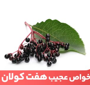 گل‌ها، میوه‌ها و برگ‌های هفت کولان منبع عالی آنتی اکسیدان‌ها هستند. 