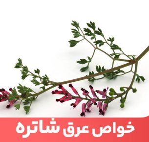 یکی از خواص مهم عرق شاتره کمک به بهبود عملکرد دستگاه گوارش است.