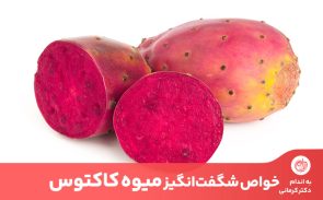از جمله خواص میوه کاکتوس می‌توان به کاهش وزن،‌کاهش قند خون و تقویت سیستم ایمنی بدن اشاره کرد.