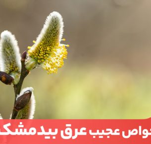 از جمله خواص عرق بیدمشک می‌توان بهبود سلامت پوست، کاهش وزن و تقویت کلیه‌ها را نام برد.