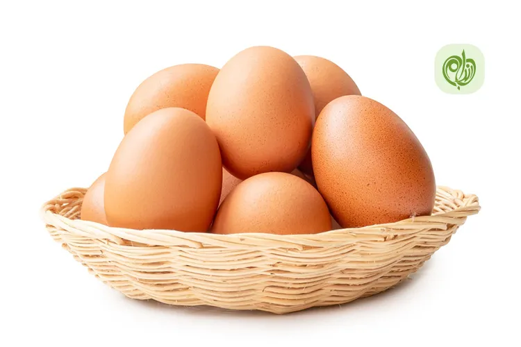 مقاله بهترین روش ماندگاری تخم مرغ