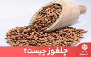 چلغوز چیست؟ چلغوز دانه نوعی درخت کاج است که قابل خوردن است.