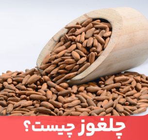 چلغوز چیست؟ چلغوز دانه نوعی درخت کاج است که قابل خوردن است.