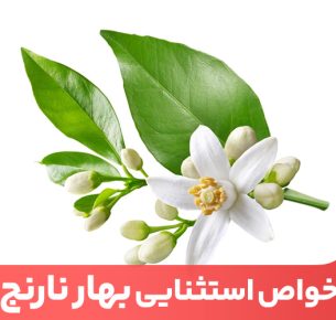 خواص بهار نارنج تنها برای دنیای عط و ادکلن نیست؛ بلکه فواید متعددی برای سلامتی و پیگشیری از بیماری‌ها دارد.