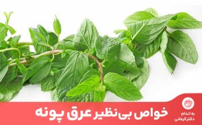 یکی از مهمترین خواص عرق پونه، افزایش متابولیسم بدن و در نتیجه کاهش چربی بدن است.