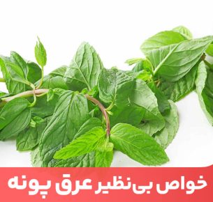 یکی از مهمترین خواص عرق پونه، افزایش متابولیسم بدن و در نتیجه کاهش چربی بدن است.