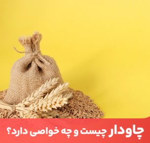 چاودار گیاهی شبیه به گندم است که خواص بسیاری برای لاغری و سلامتی دارد.