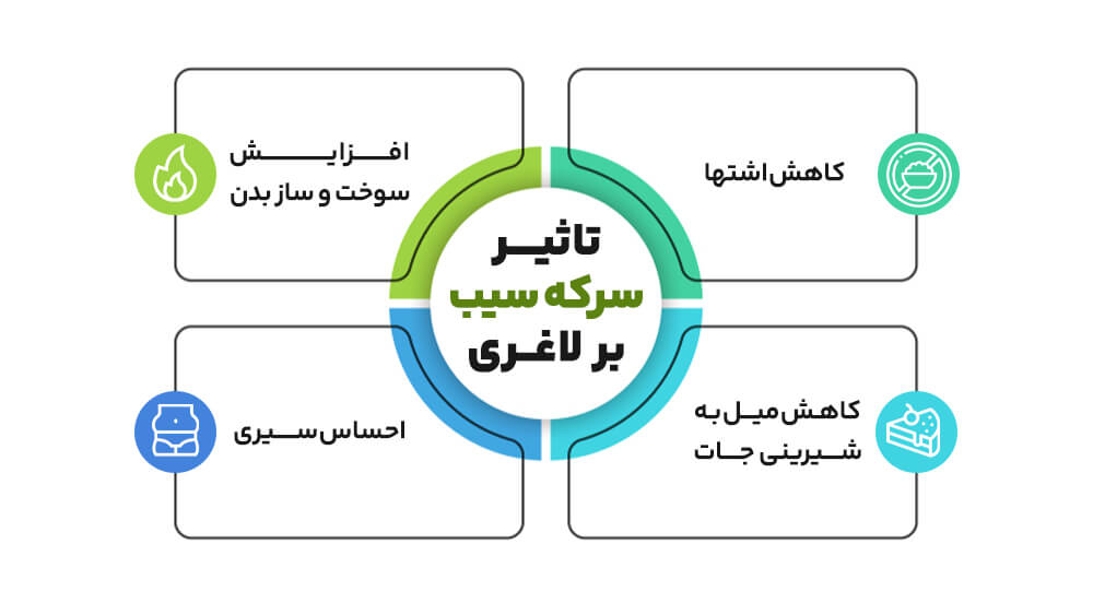 سرکه سیب برای لاغری - روش لاغری با سرکه سیب در یک هفته - 1 - سرکه سیب برای لاغری - رژیم لاغری