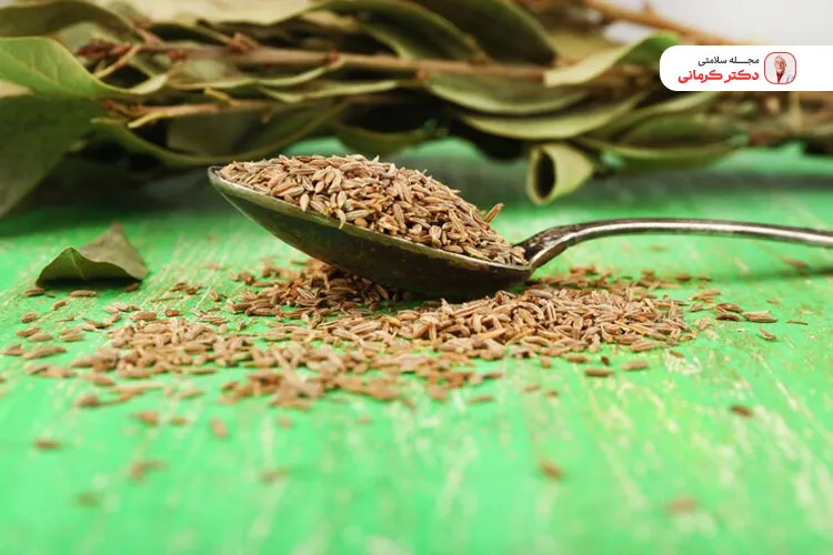 جهت رفع تداخل غذایی از رازیانه استفاده کنید.