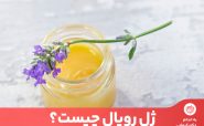 خواص ژل رویال – معجزه ژل رویال برای پوست و سلامتی - 12 - خواص شیره انگور - تغذیه و سلامتی