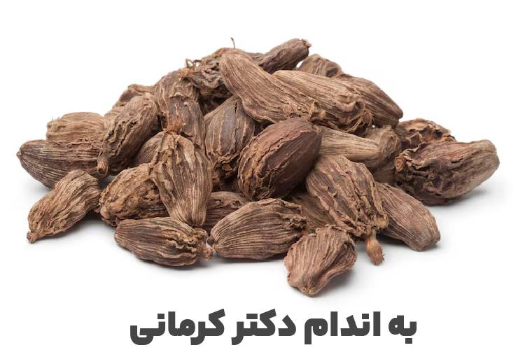 هلیله سیاه