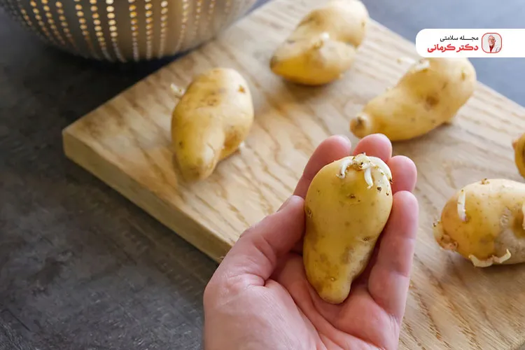 برای جلوگیری از جوانه زدن سیب زمینی آن را جدا از پیاز نگهداری کنید.