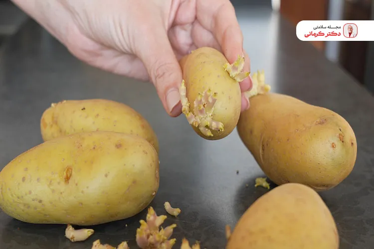 میزان گلیکوآلکالوئیدهای سیب زمینی جوانه زده بیش از حد مجاز و خطرناک است!