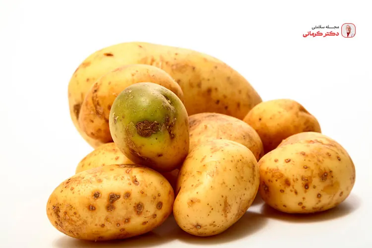 دور ریختن سیب زمینی سبز یا جوانه زده بهترین کار است.