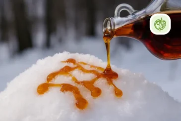 مقاله خوردن برف با شیره انگور