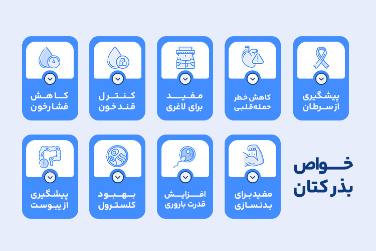 خواص بذر کتان