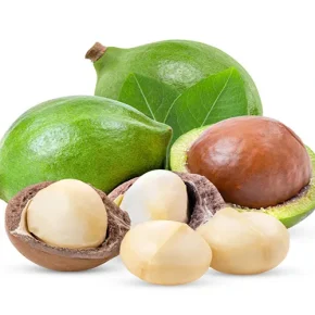 مقاله خواص ماکادمیا چیست؟