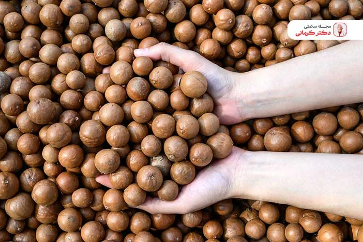 به دلیل افزایش کلسترول در مصرف ماکادمیا زیاده روی نکنید.