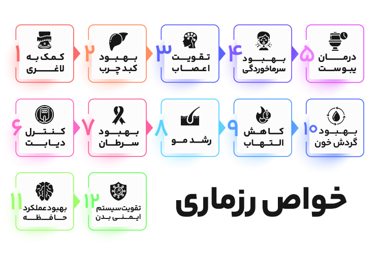 اینفوگرافیک خواص رزماری