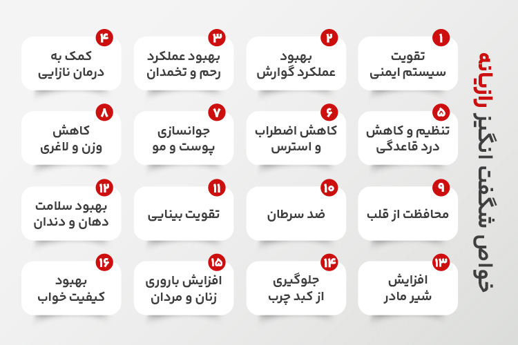 ایفوگرافیک خواص رازیانه