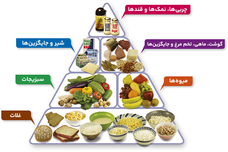 اینفوگرافیک هرم غذایی