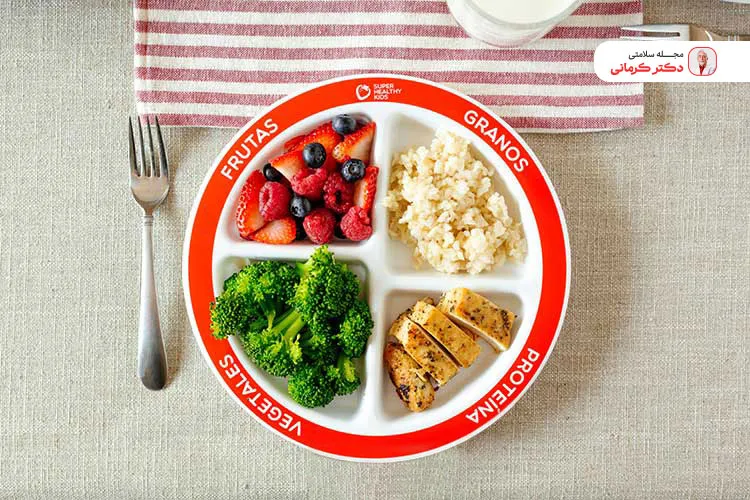 انواع هرم غذایی کدامند؟