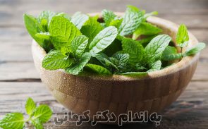 فواید نعناع