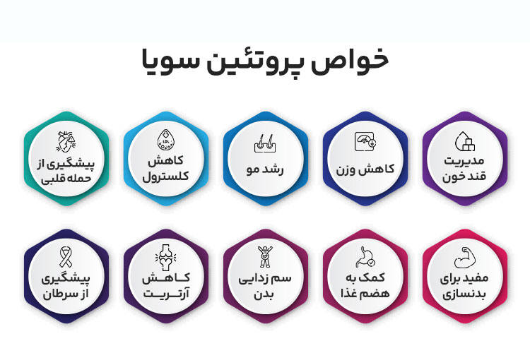 اینفوگرافیک پروتئین سویا