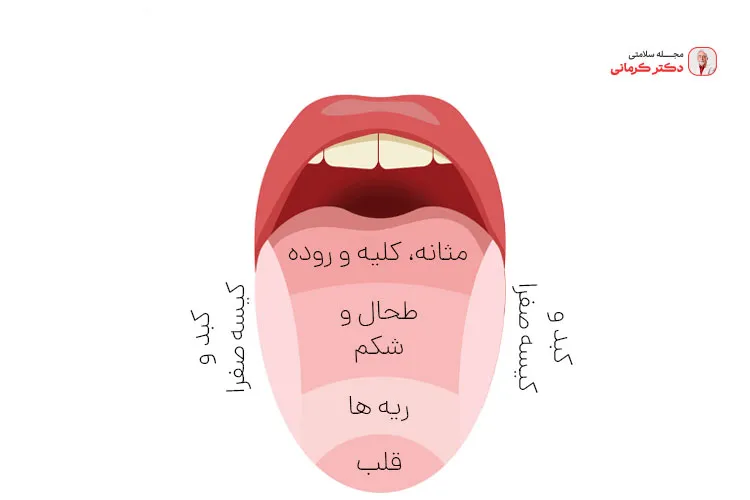 علائم کبد چرب از روی زبان