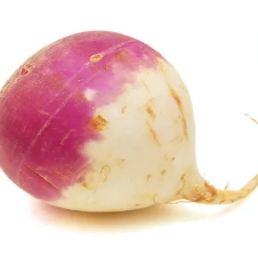 مقاله فواید شلغم برای سلامتی