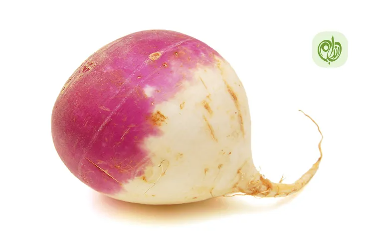 فواید شلغم برای سلامتی