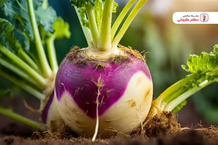 شلغم یک ماده غذایی ضد سرطان