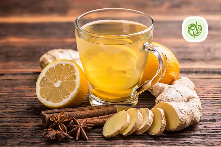 فواید زنجبیل برای لاغری