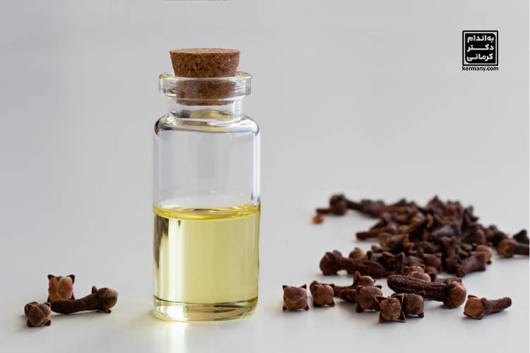 16خواص میخک - 2 - خواص میخک - خواص مواد غذایی