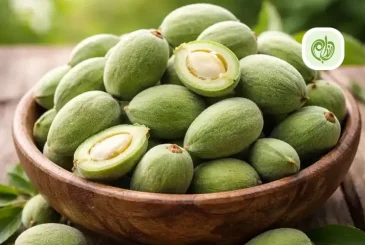 مقاله فواید چغاله بادام