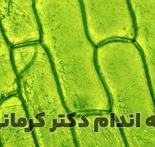 کلروفیل