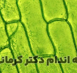 کلروفیل
