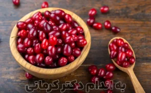 فواید زغال اخته