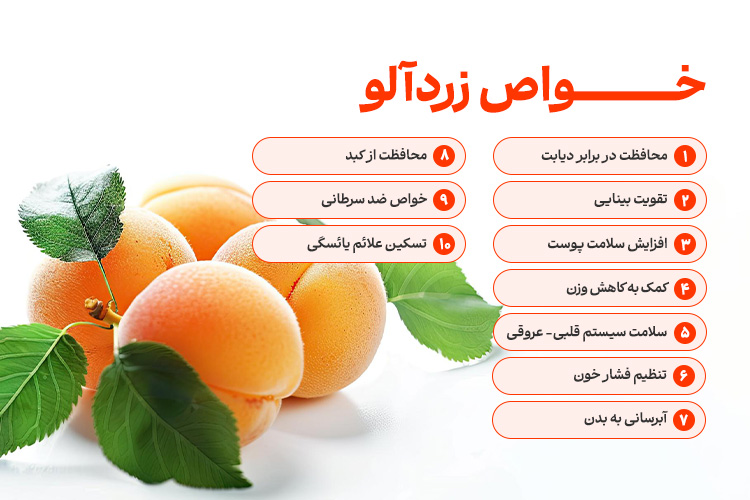 اینفوگرافیک خواص زردآلو