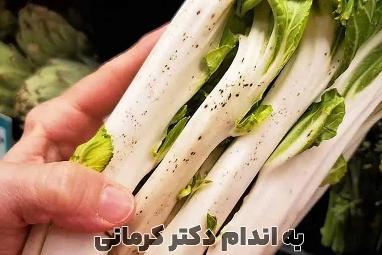 خواص کنگر