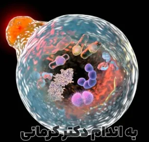 اتوفازی