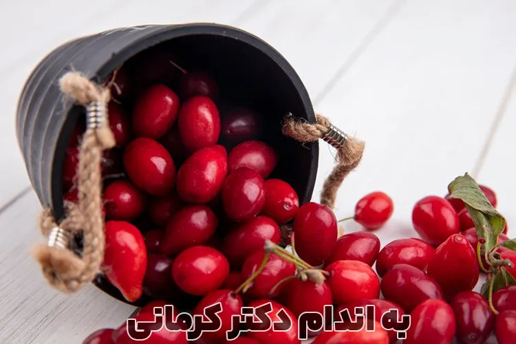 زغال اخته در بارداری