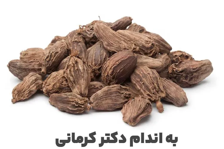 هلیله سیاه
