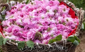 خواص گل محمدی
