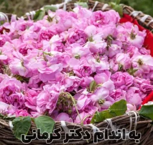 خواص گل محمدی