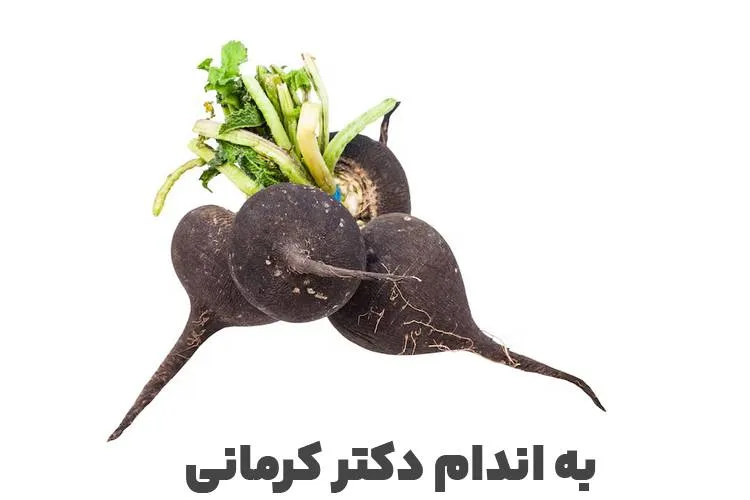 خواص ترب سیاه - - خواص ترب سیاه - تغذیه و سلامتی