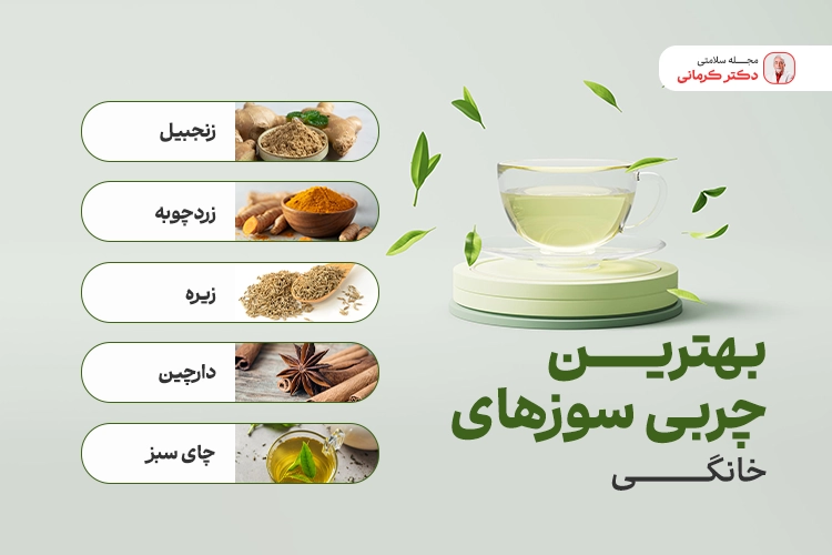 اینفوگرافیک چربی سوز خانگی