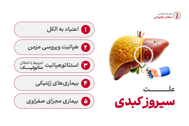 اینفوگرافیک چرا دچار سیروز کبدی میشویم؟