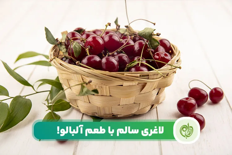 مقاله خواص آلبالو برای سلامتی و لاغری